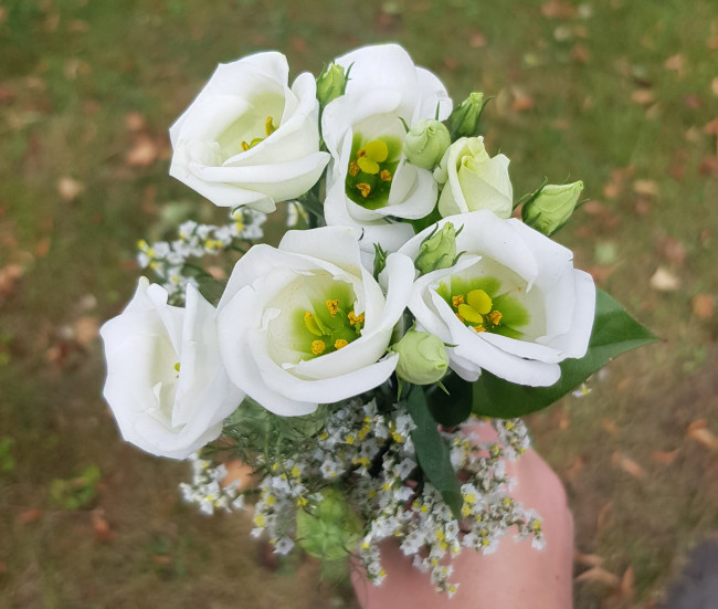 Blumen zu Fabis Beerdigung